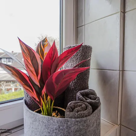 Haus Cosmo -